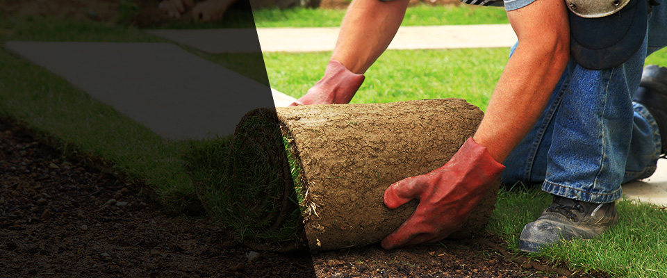 Crozet Landscapers